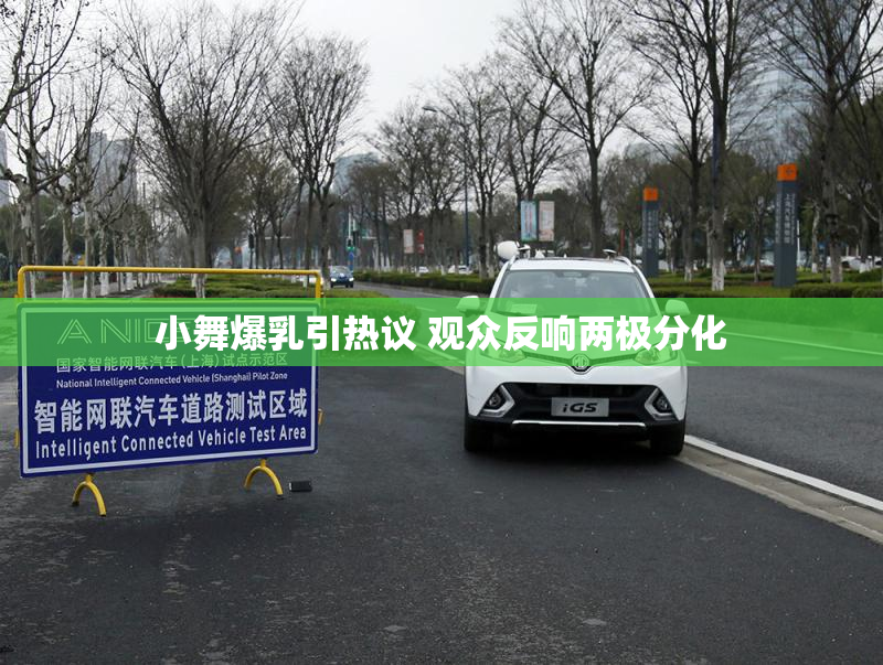 小舞爆乳引热议 观众反响两极分化
