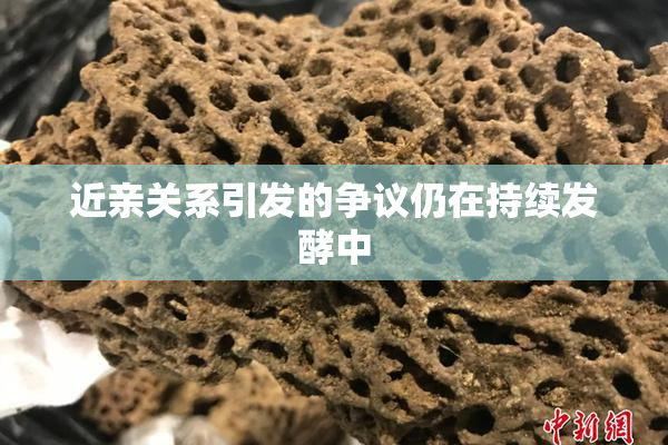 近亲关系引发的争议仍在持续发酵中