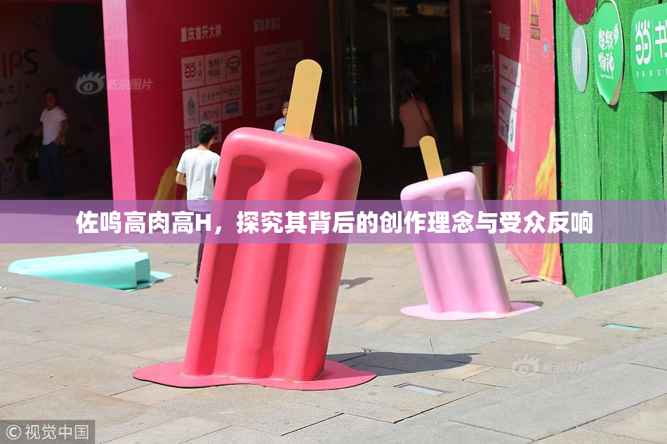 佐鸣高肉高H，探究其背后的创作理念与受众反响