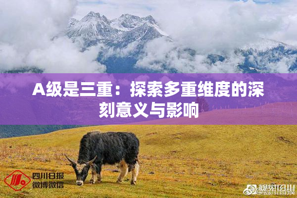 A级是三重：探索多重维度的深刻意义与影响