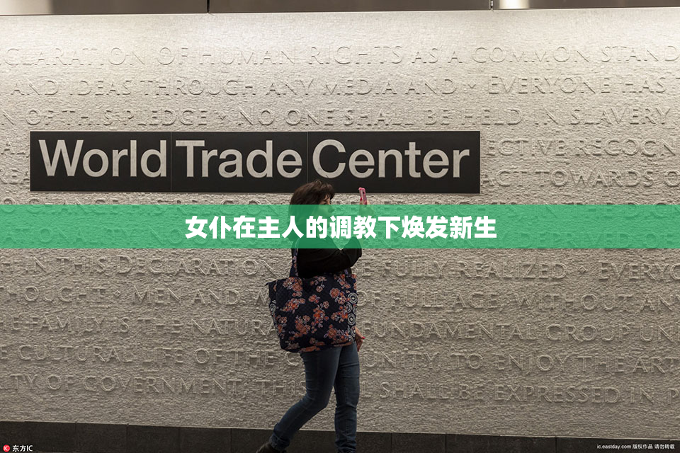 女仆在主人的调教下焕发新生