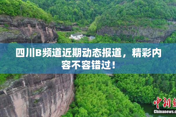 四川B频道近期动态报道，精彩内容不容错过！