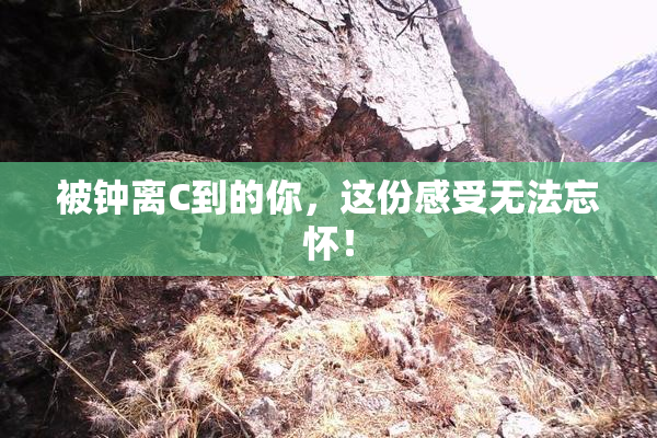 被钟离C到的你，这份感受无法忘怀！