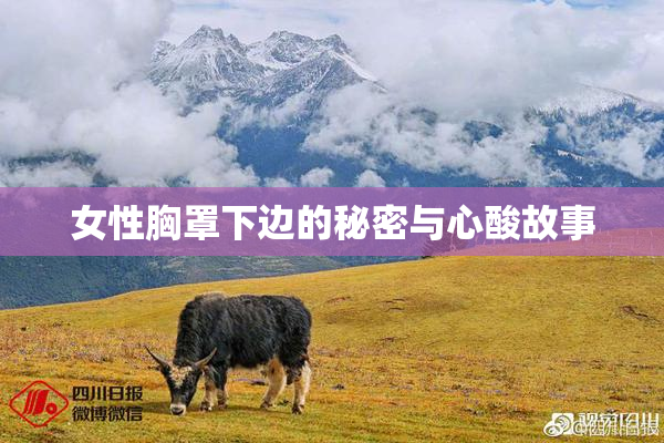 女性胸罩下边的秘密与心酸故事