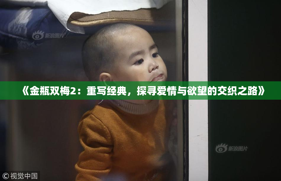 《金瓶双梅2：重写经典，探寻爱情与欲望的交织之路》