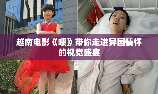 越南电影《喂》带你走进异国情怀的视觉盛宴
