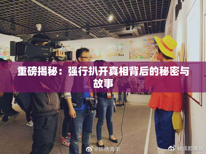 重磅揭秘：强行扒开真相背后的秘密与故事