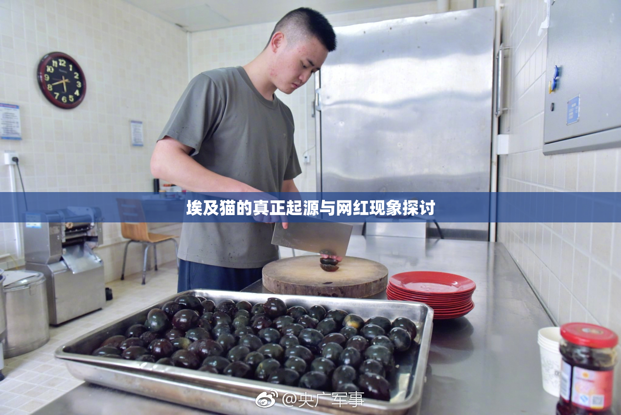 埃及猫的真正起源与网红现象探讨