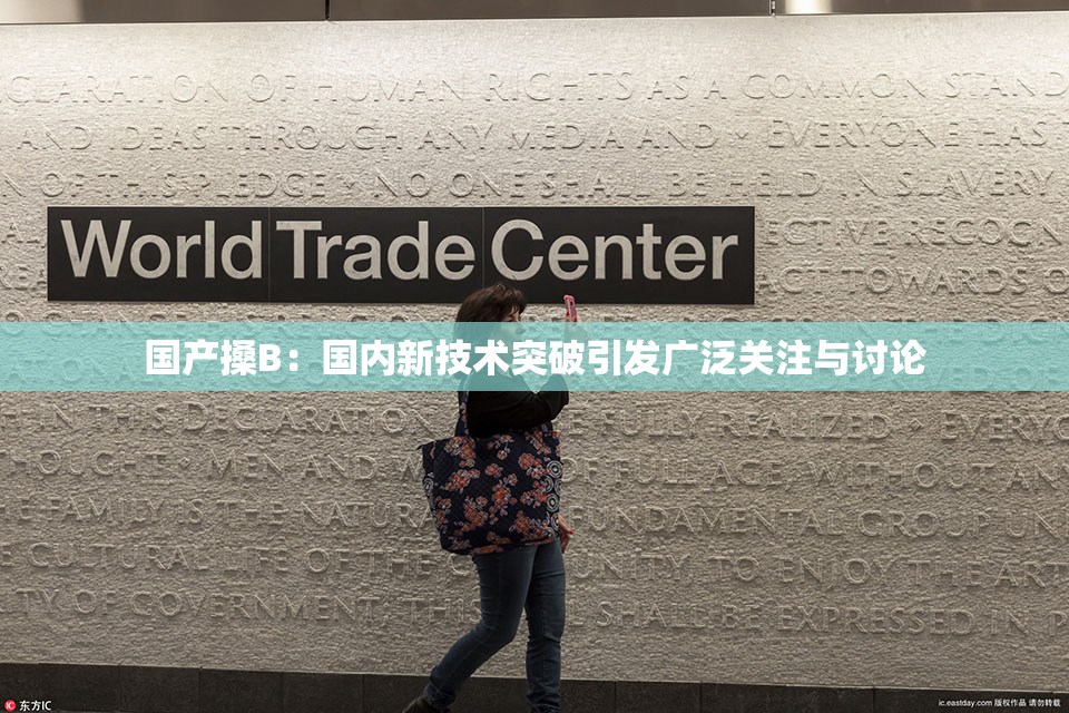 国产搡B：国内新技术突破引发广泛关注与讨论