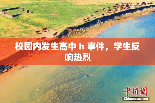 校园内发生高中 h 事件，学生反响热烈