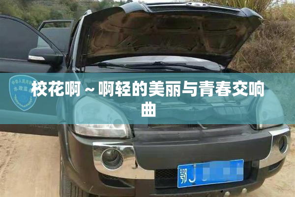 校花啊～啊轻的美丽与青春交响曲