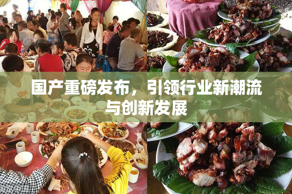 国产重磅发布，引领行业新潮流与创新发展