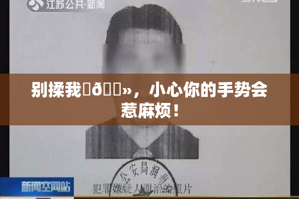 别揉我‌🐻，小心你的手势会惹麻烦！