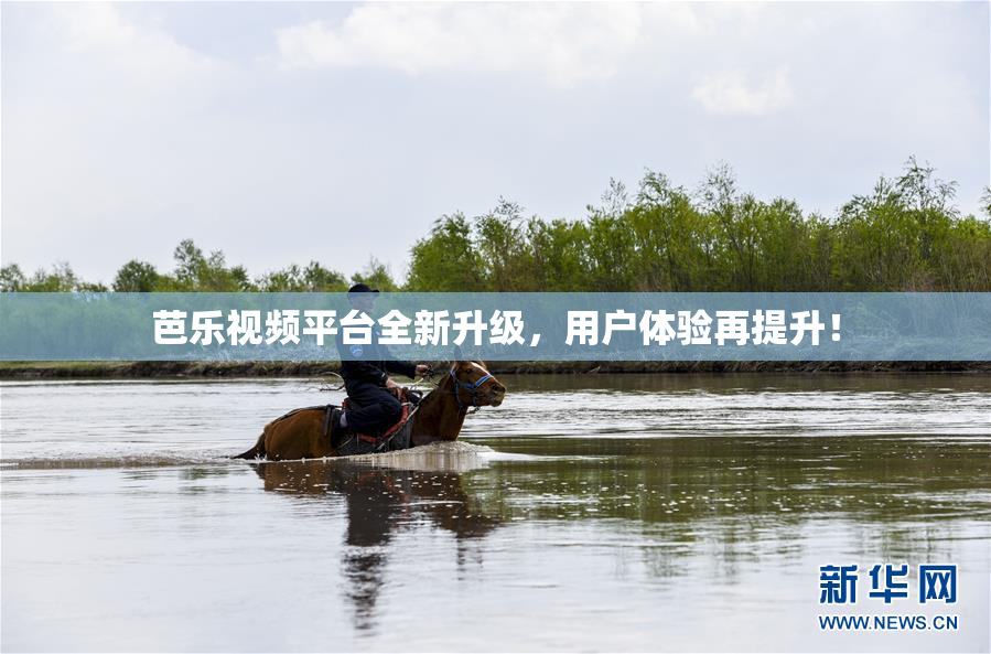 芭乐视频平台全新升级，用户体验再提升！