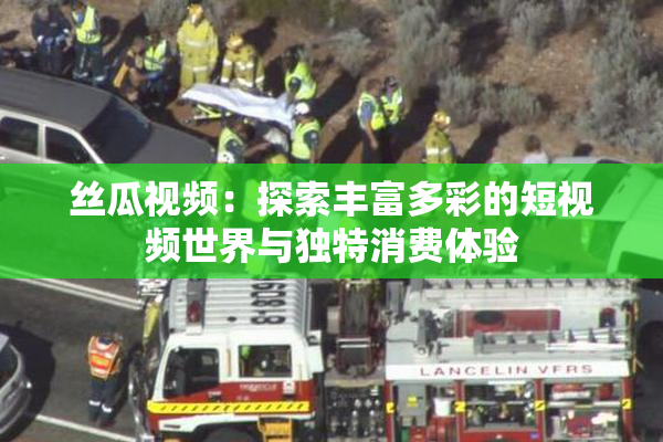 丝瓜视频：探索丰富多彩的短视频世界与独特消费体验