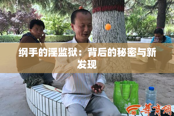 纲手的淫监狱：背后的秘密与新发现