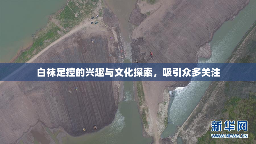 白袜足控的兴趣与文化探索，吸引众多关注