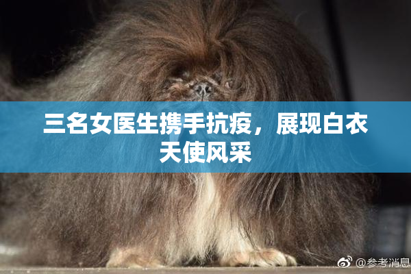 三名女医生携手抗疫，展现白衣天使风采