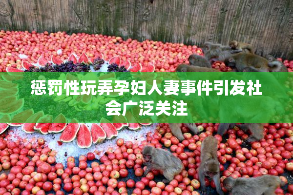 惩罚性玩弄孕妇人妻事件引发社会广泛关注