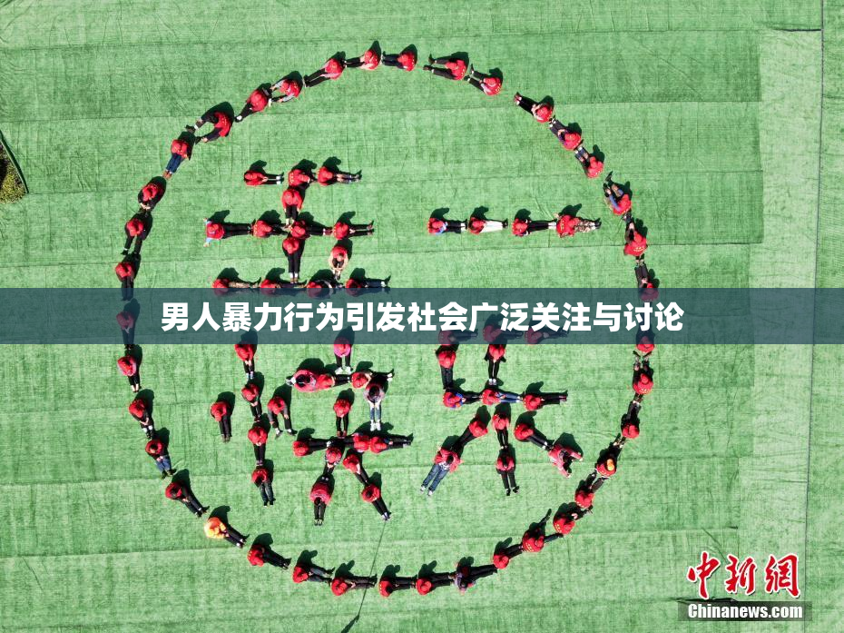 男人暴力行为引发社会广泛关注与讨论