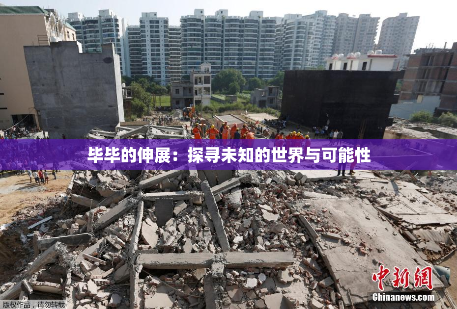 毕毕的伸展：探寻未知的世界与可能性