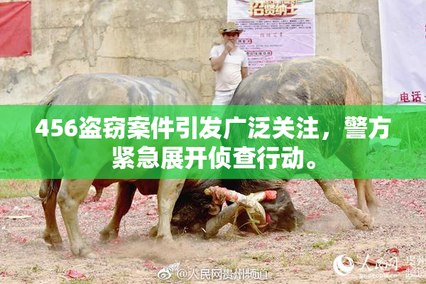 456盗窃案件引发广泛关注，警方紧急展开侦查行动。
