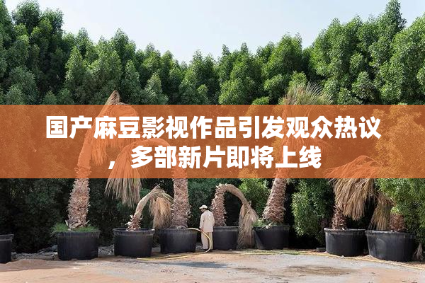 国产麻豆影视作品引发观众热议，多部新片即将上线