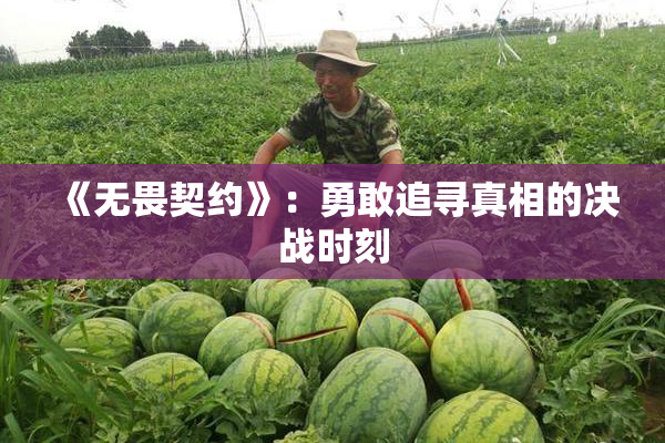 《无畏契约》：勇敢追寻真相的决战时刻
