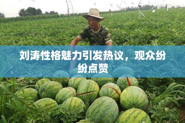 刘涛性格魅力引发热议，观众纷纷点赞