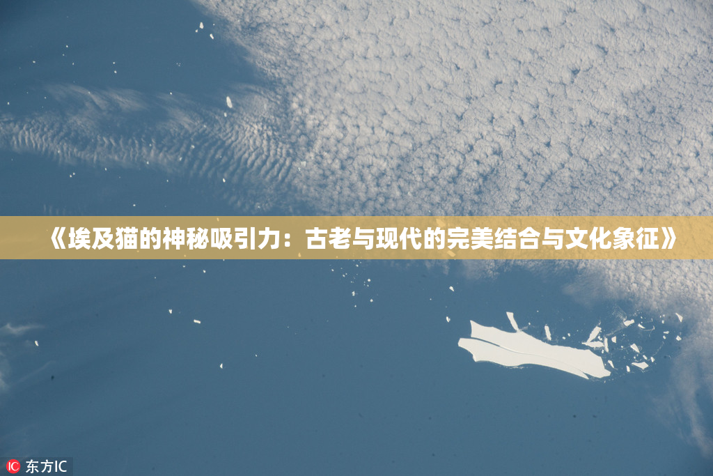 《埃及猫的神秘吸引力：古老与现代的完美结合与文化象征》