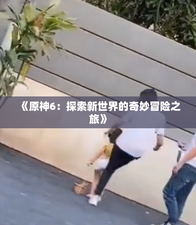 《原神6：探索新世界的奇妙冒险之旅》