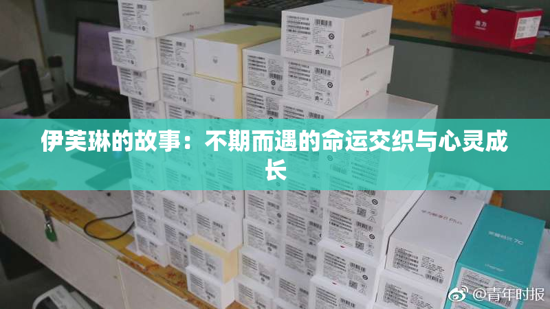 伊芙琳的故事：不期而遇的命运交织与心灵成长