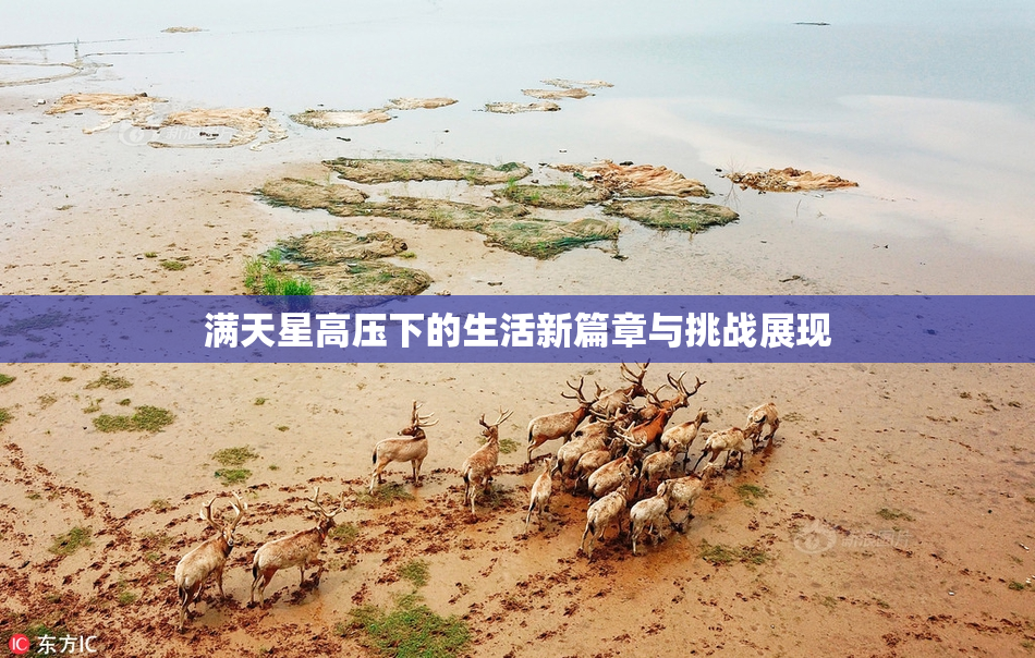 满天星高压下的生活新篇章与挑战展现