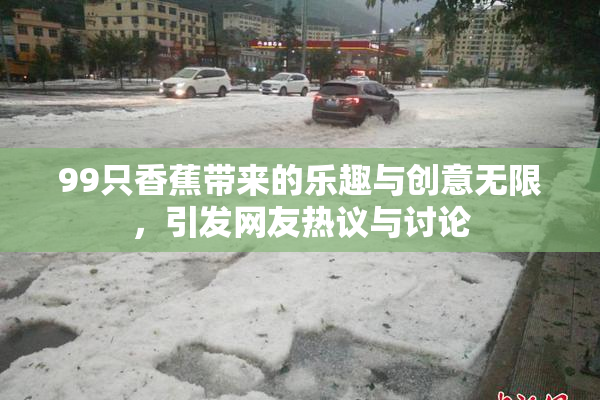 99只香蕉带来的乐趣与创意无限，引发网友热议与讨论