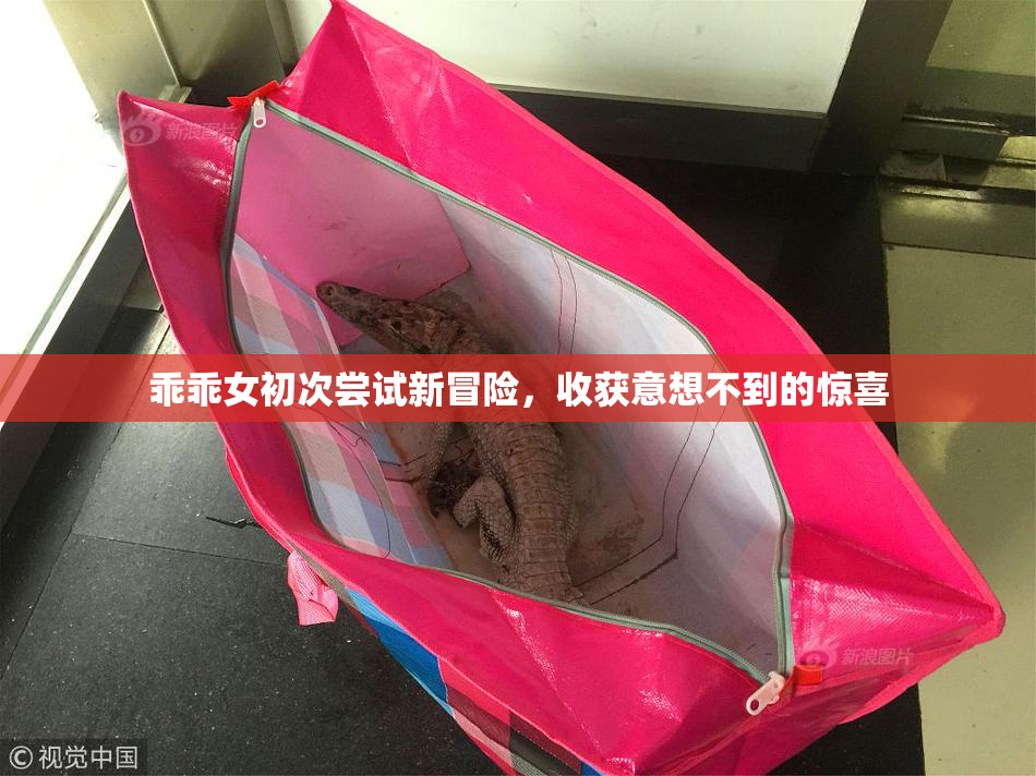 乖乖女初次尝试新冒险，收获意想不到的惊喜