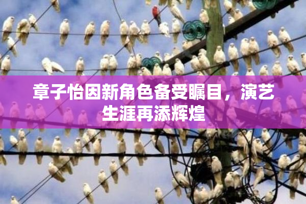 章子怡因新角色备受瞩目，演艺生涯再添辉煌