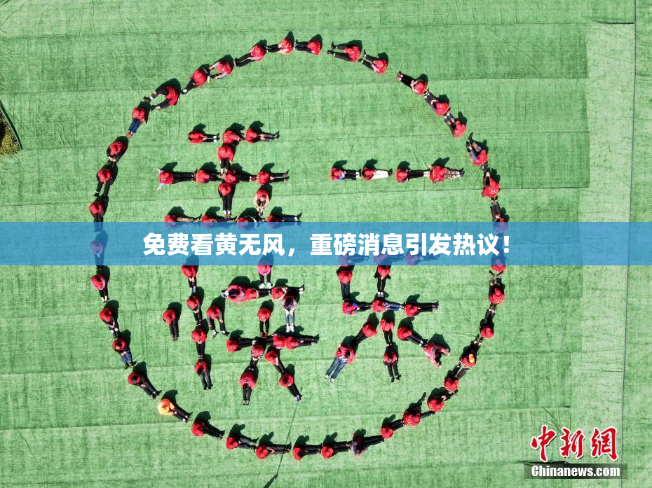 免费看黄无风，重磅消息引发热议！
