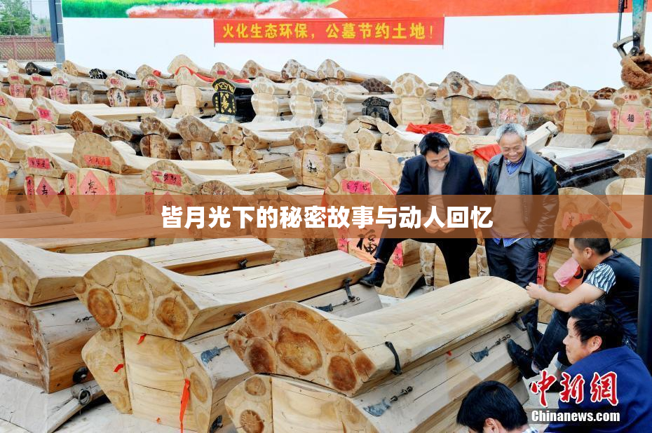 皆月光下的秘密故事与动人回忆