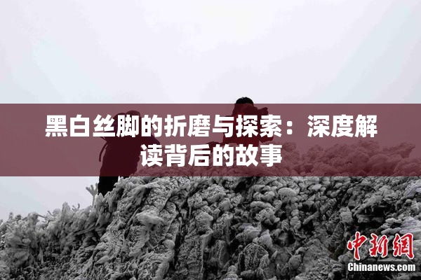 黑白丝脚的折磨与探索：深度解读背后的故事