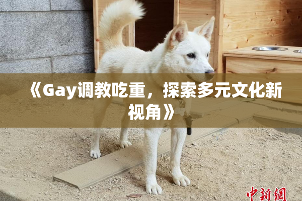 《Gay调教吃重，探索多元文化新视角》