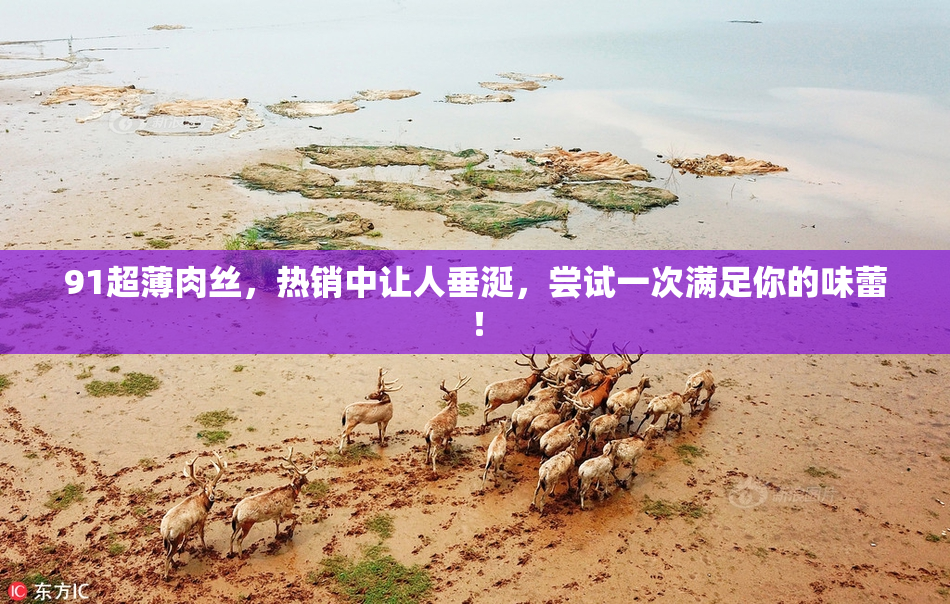 91超薄肉丝，热销中让人垂涎，尝试一次满足你的味蕾！