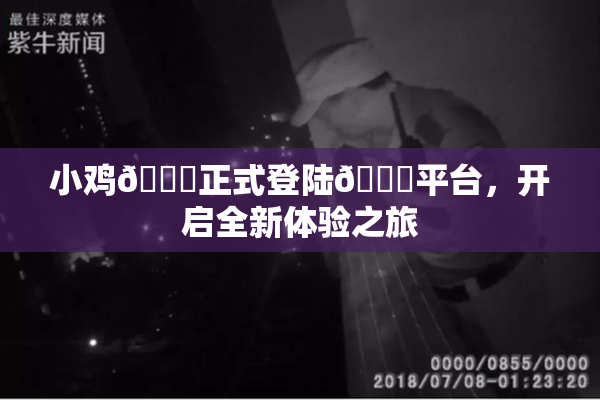 小鸡🐔正式登陆🍑平台，开启全新体验之旅
