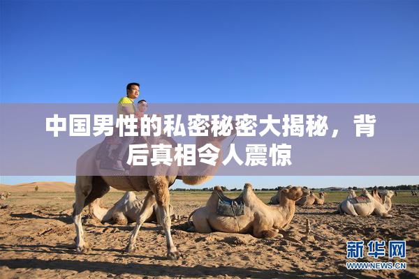 中国男性的私密秘密大揭秘，背后真相令人震惊