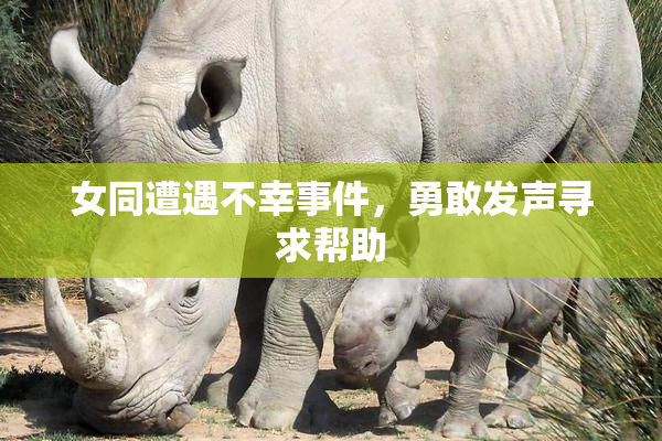 女同遭遇不幸事件，勇敢发声寻求帮助