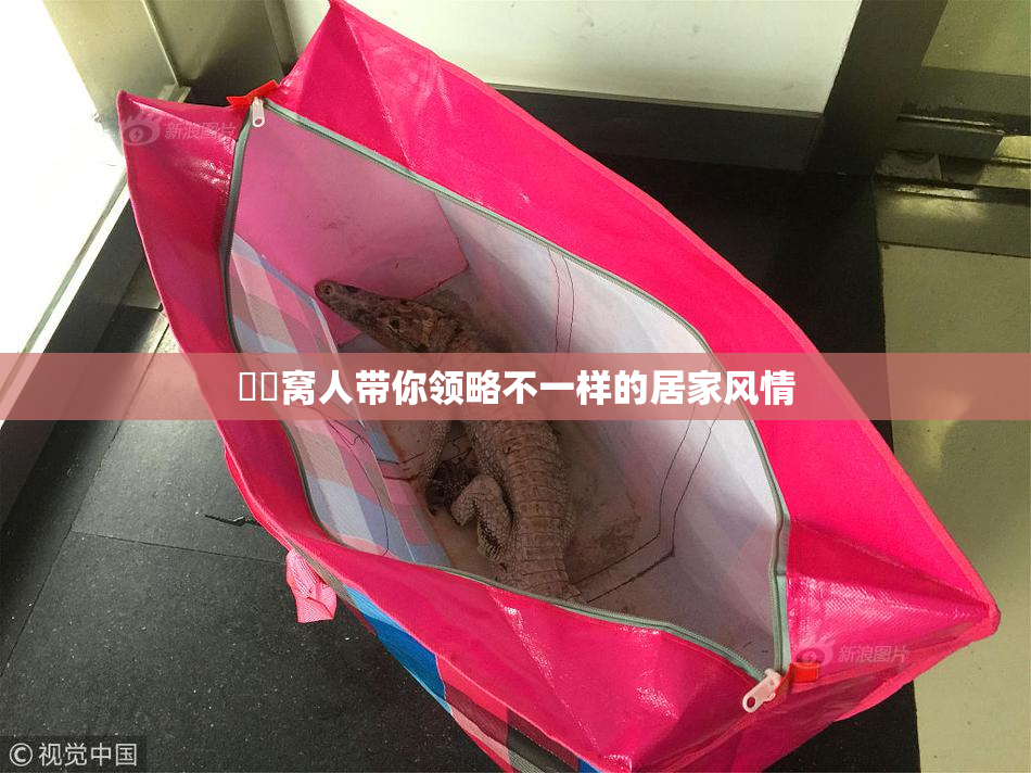 妺妺窝人带你领略不一样的居家风情