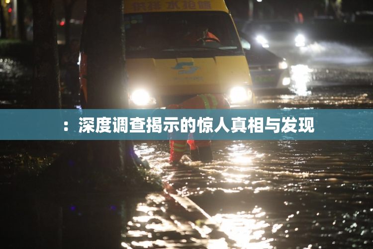 ：深度调查揭示的惊人真相与发现