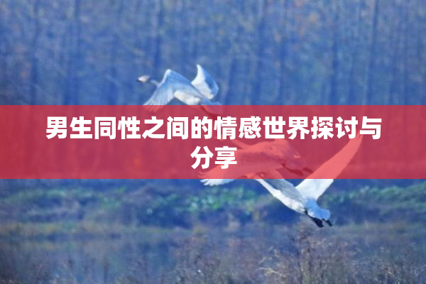 男生同性之间的情感世界探讨与分享