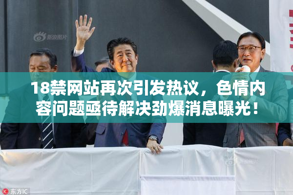 18禁网站再次引发热议，色情内容问题亟待解决劲爆消息曝光！