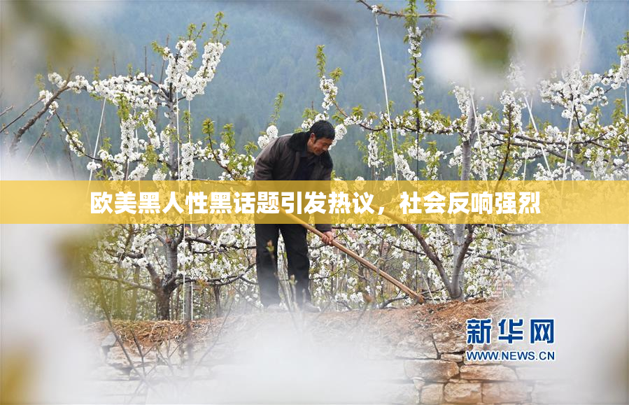 欧美黑人性黑话题引发热议，社会反响强烈
