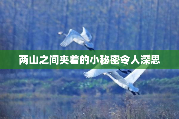 两山之间夹着的小秘密令人深思